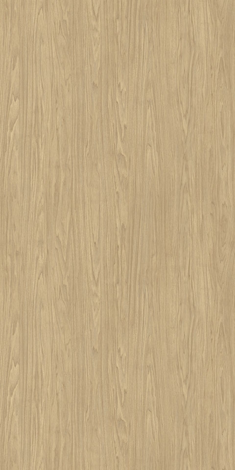 Casting at First Light | Tafisa